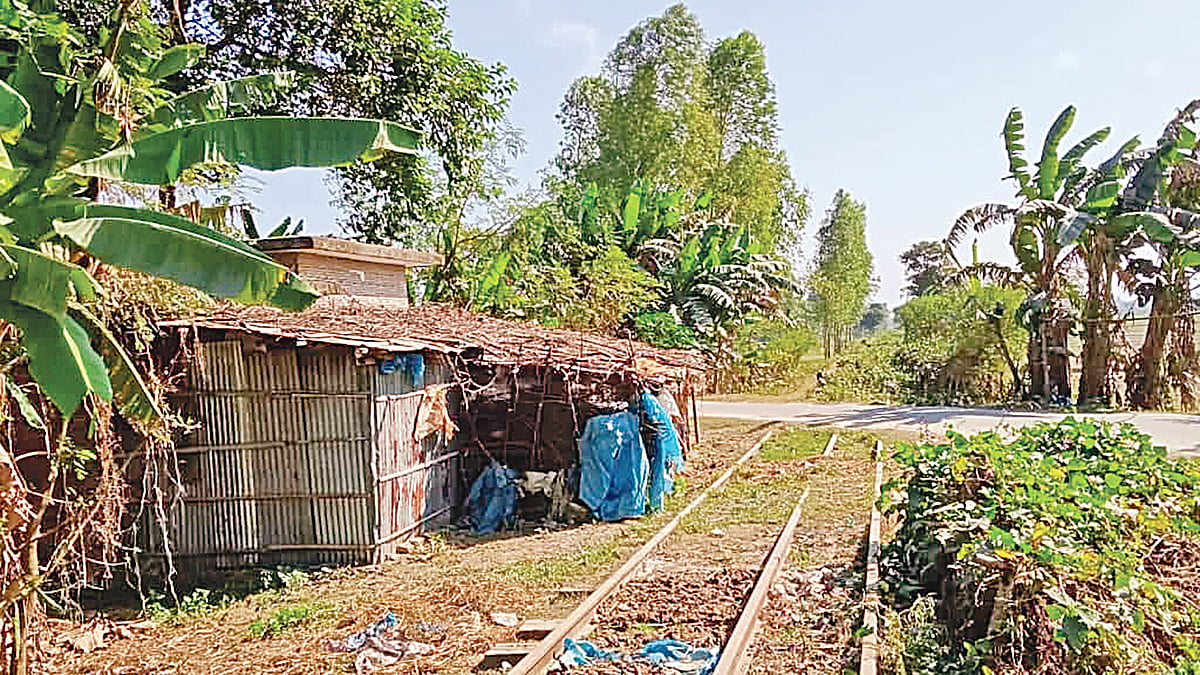 ছবি: প্রথম আলো