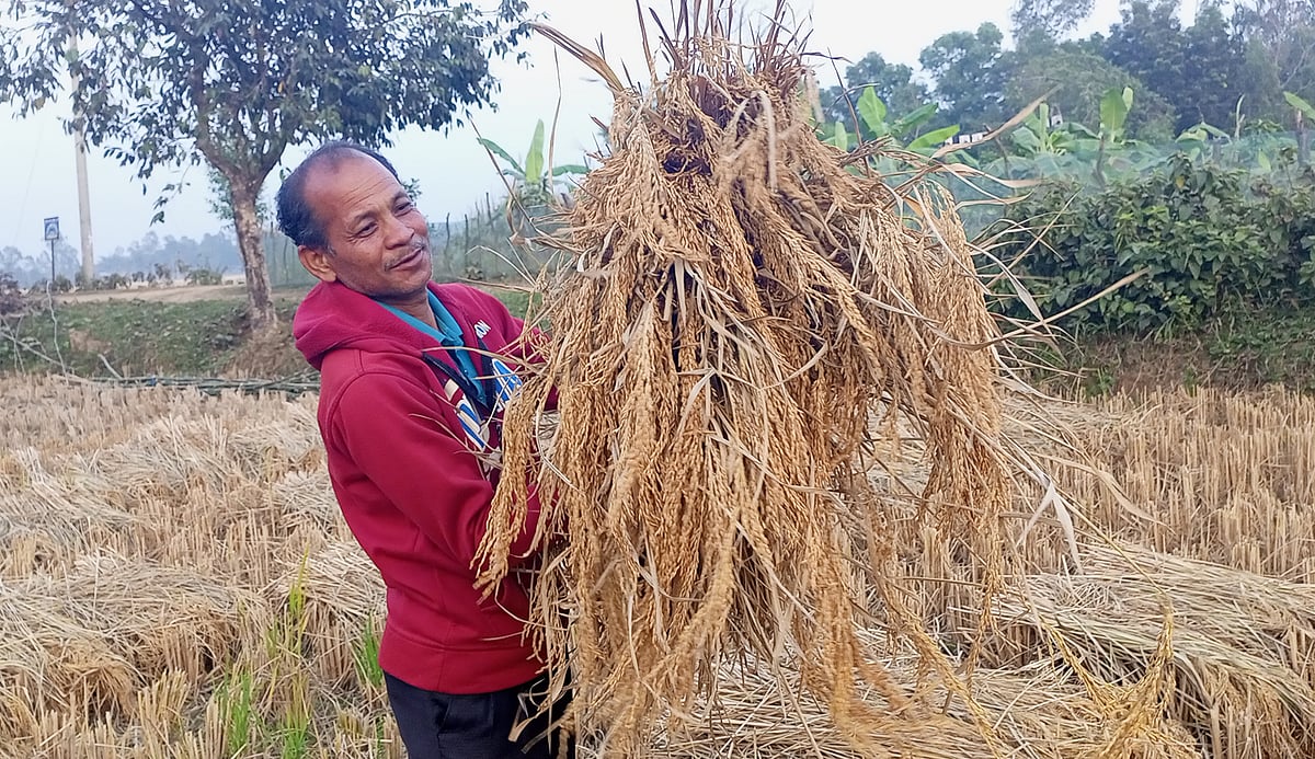 ছবি: প্রথম আলো