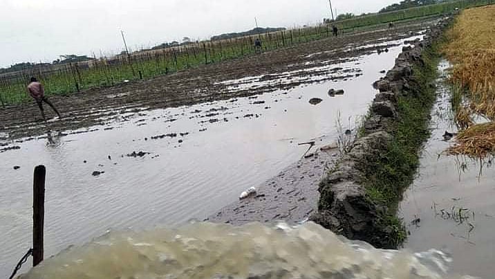 ছবি: প্রথম আলো