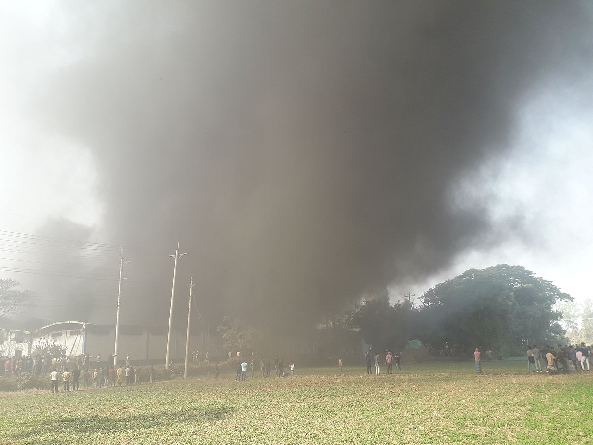 ছবি: প্রথম আলো