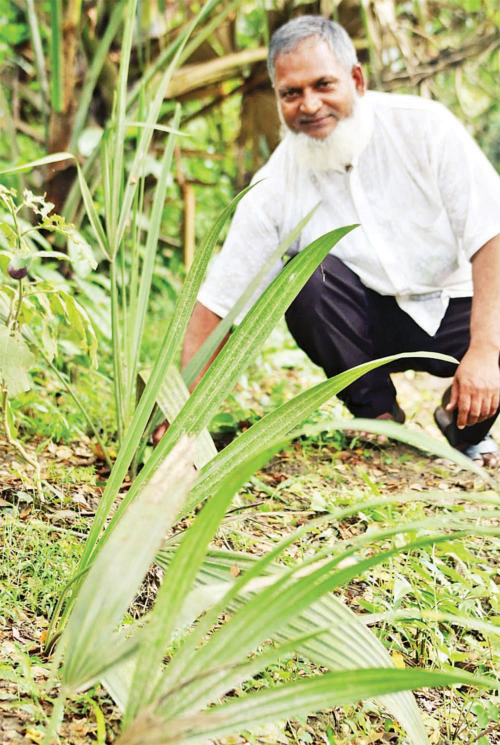 ছবি: প্রথম আলো