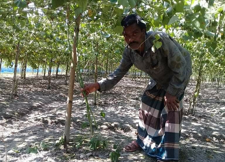 ছবি: প্রথম আলো