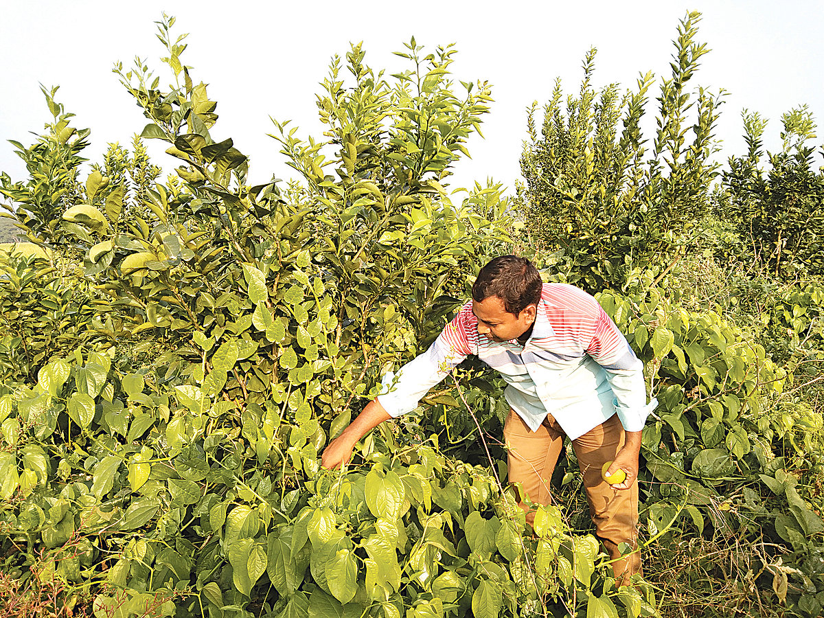 ছবি: প্রথম আলো