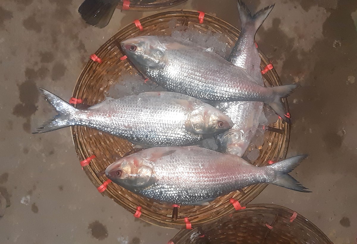 ছবি: প্রথম আলো