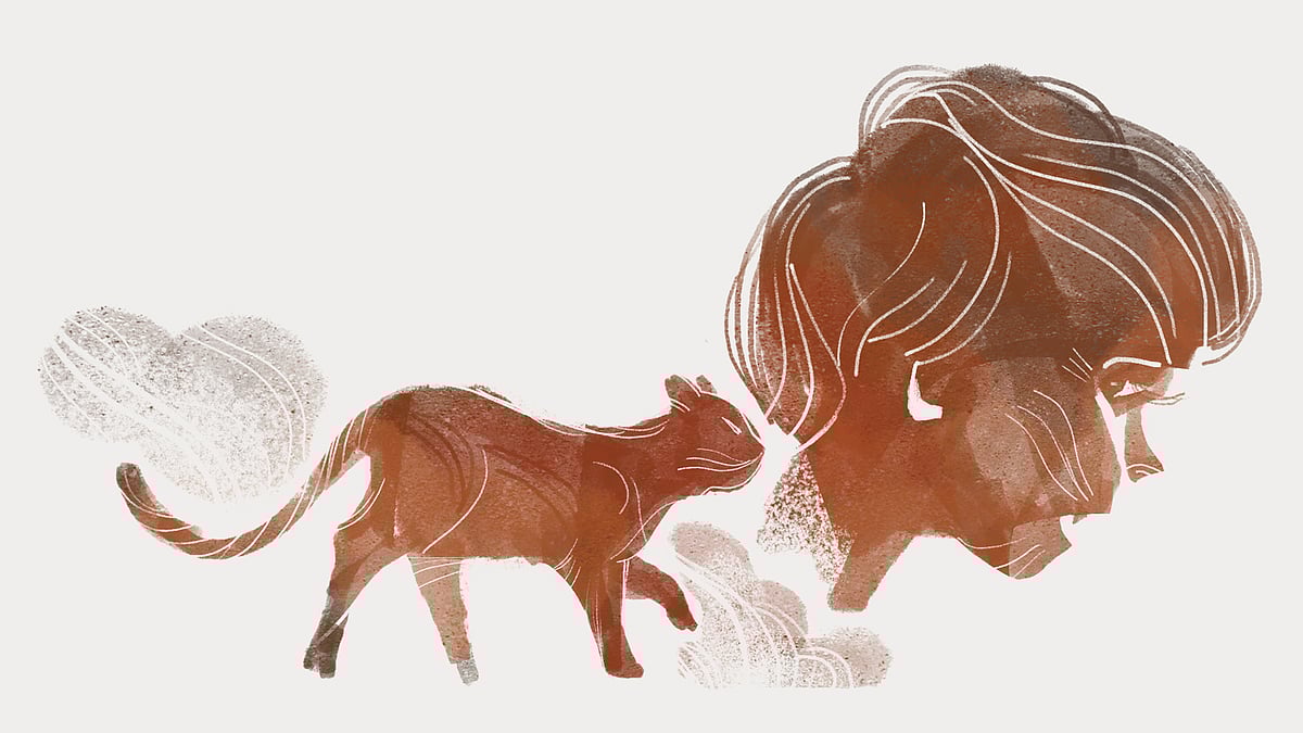 অলংকরণ: আরাফাত করিম