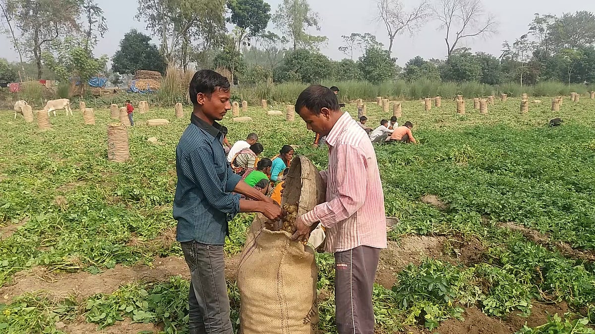 ছবি: প্রথম আলো