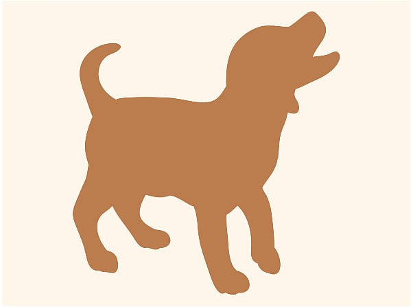 প্রতীকী ছবি