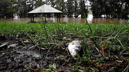 সংগৃহীত 