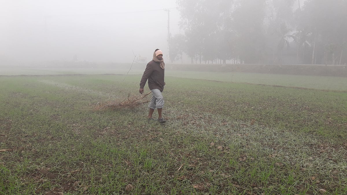 ছবি: প্রথম আলো