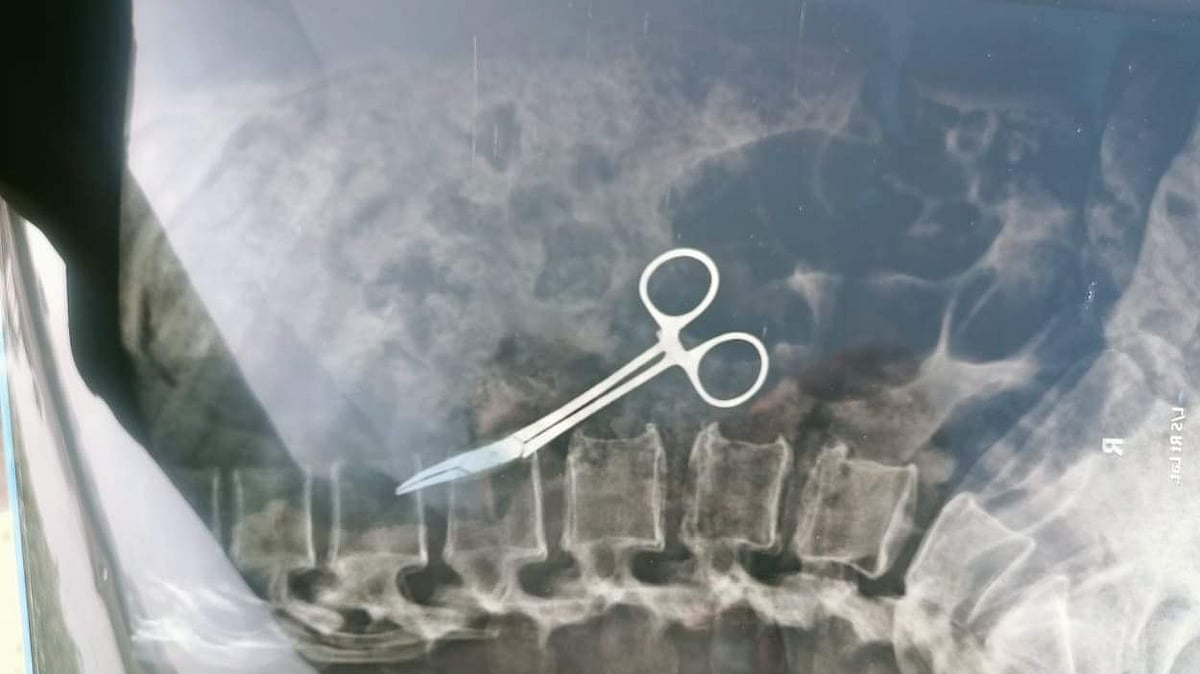 ছবি: প্রথম আলো