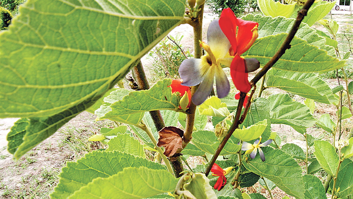 ছবি: লেখক