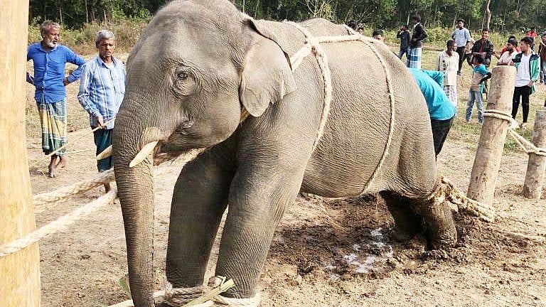 ফাইল ছবি