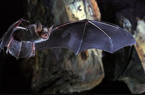  ছবি: রয়টার্স