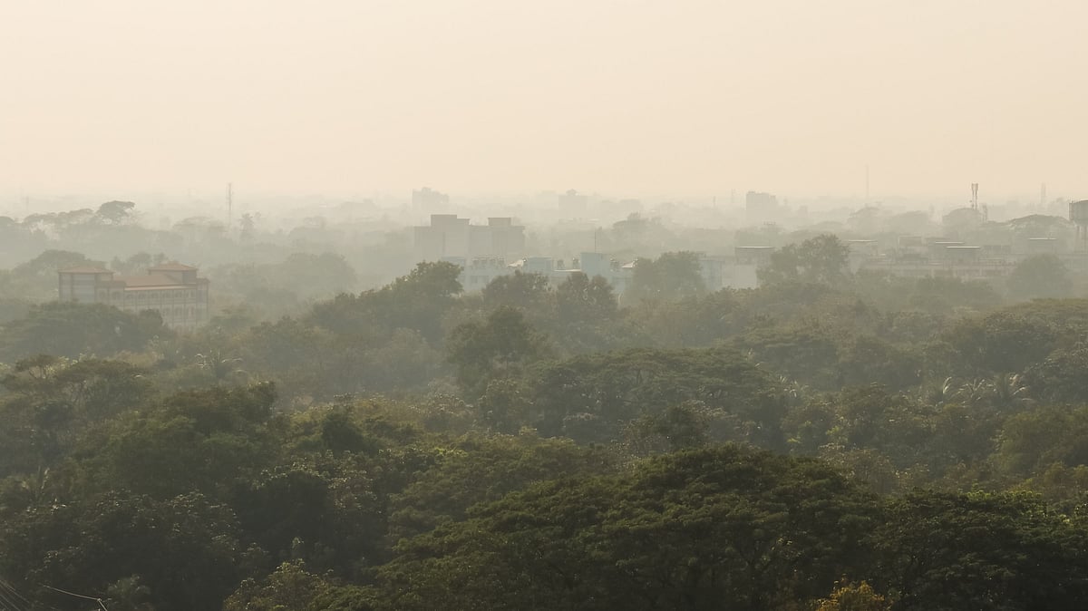 ফাইল ছবি