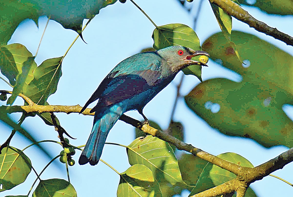   ছবি: লেখক