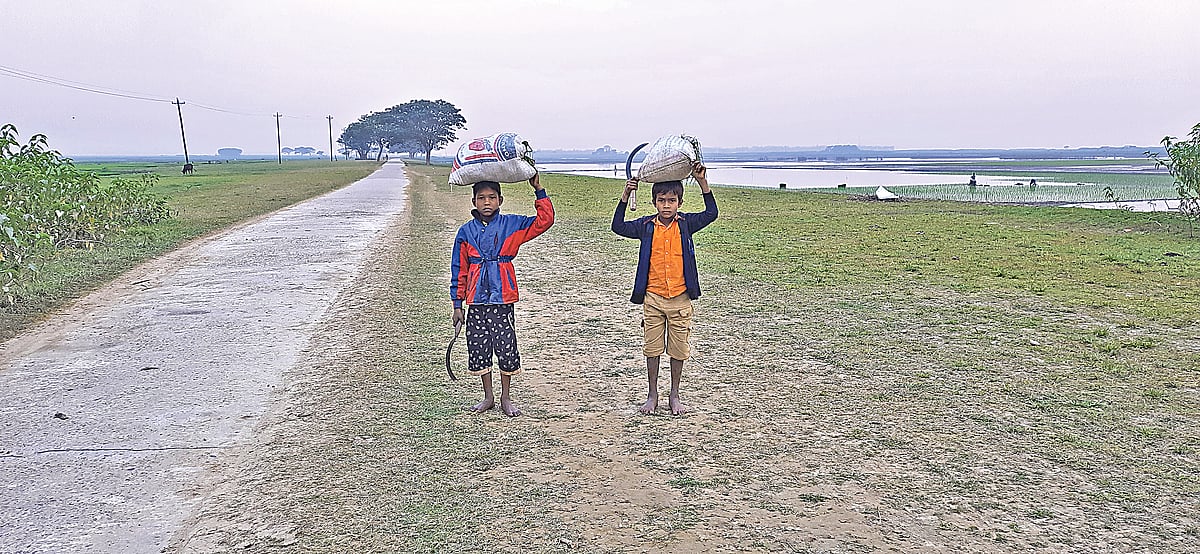 ছবি: প্রথম অালো 