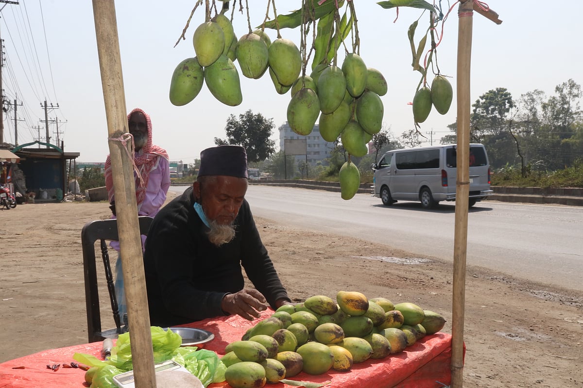 ছবি: এম সাদেক