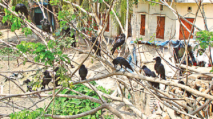 ছবি:  লেখক