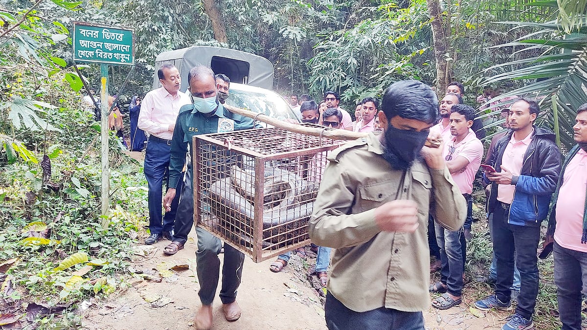 প্রথম আলো