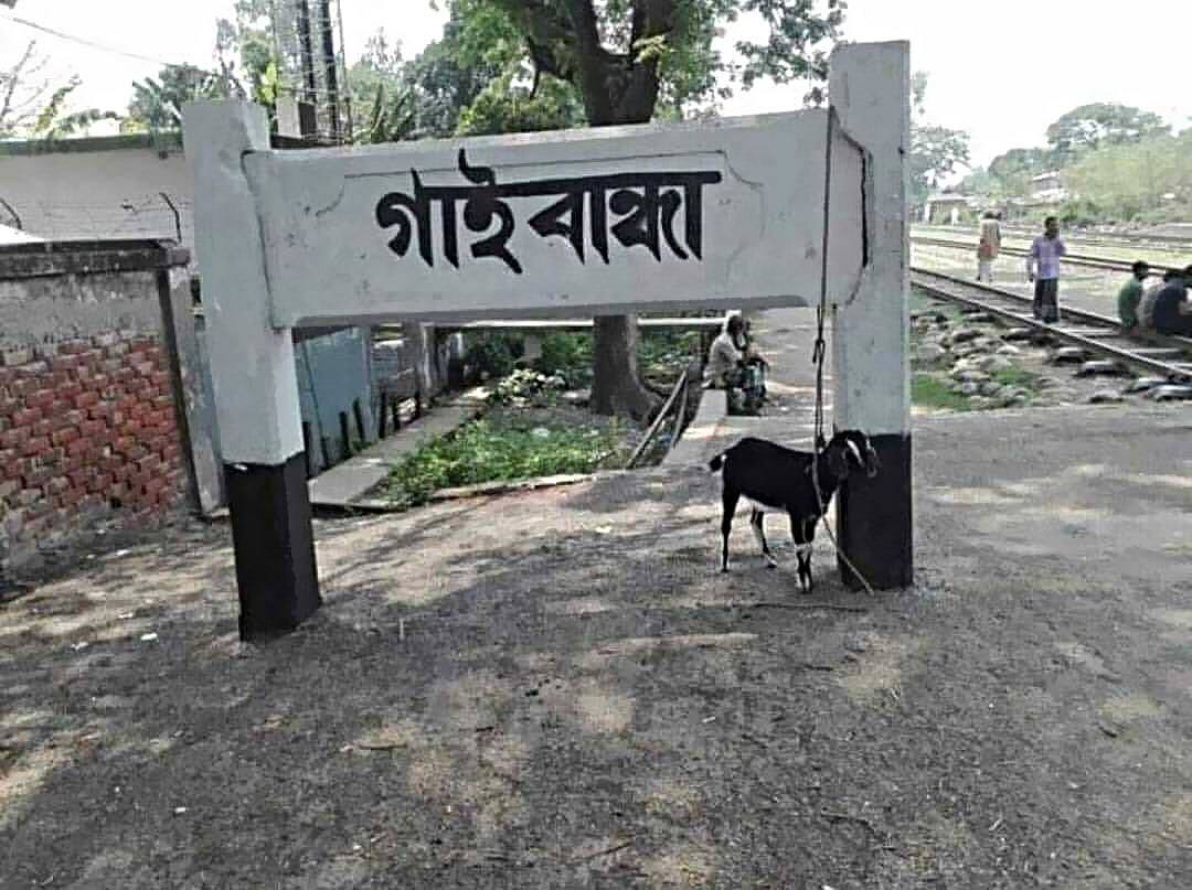 ছবি সংগ্রহ: আরিফ খান, বরগুনা