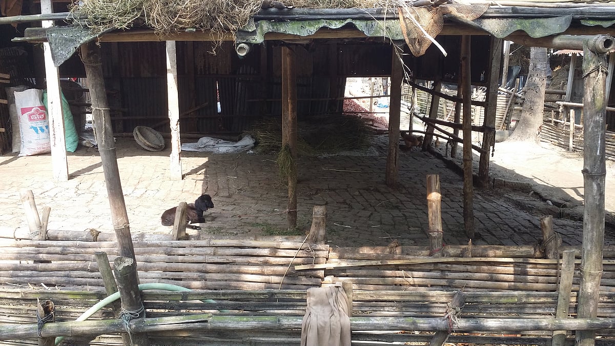 ছবি: প্রথম আলো