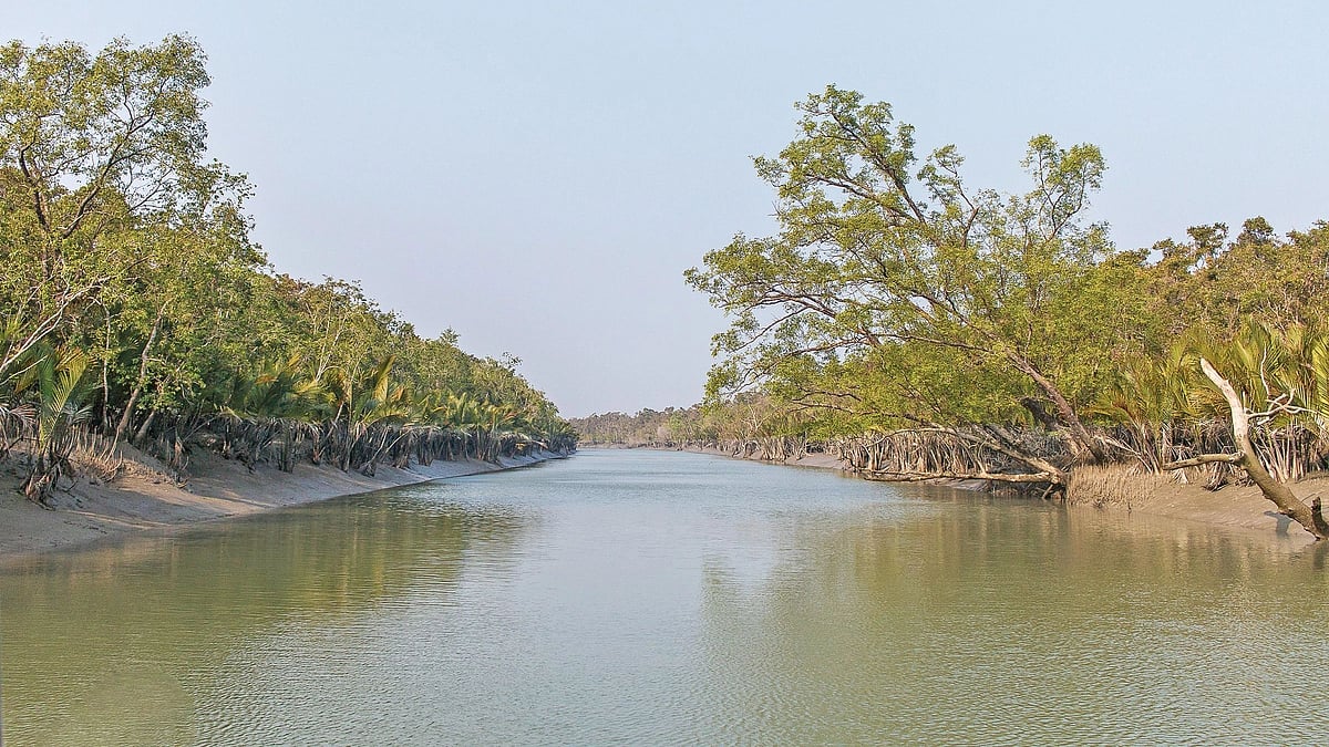 ফাইল ছবি