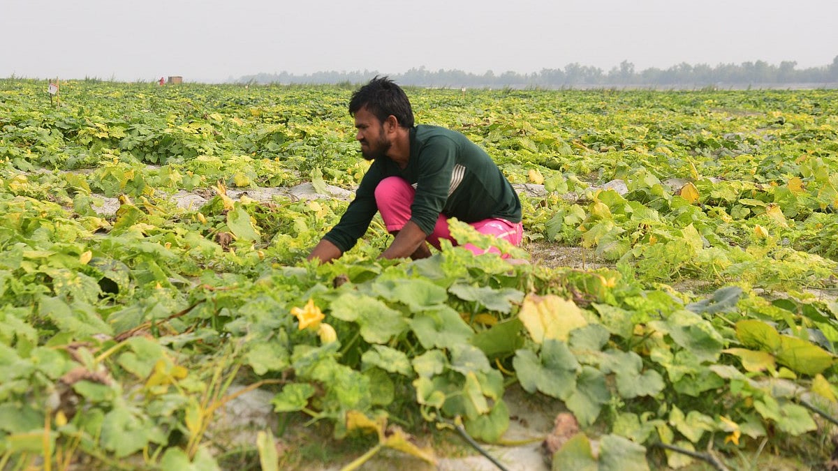 প্রথম আলো