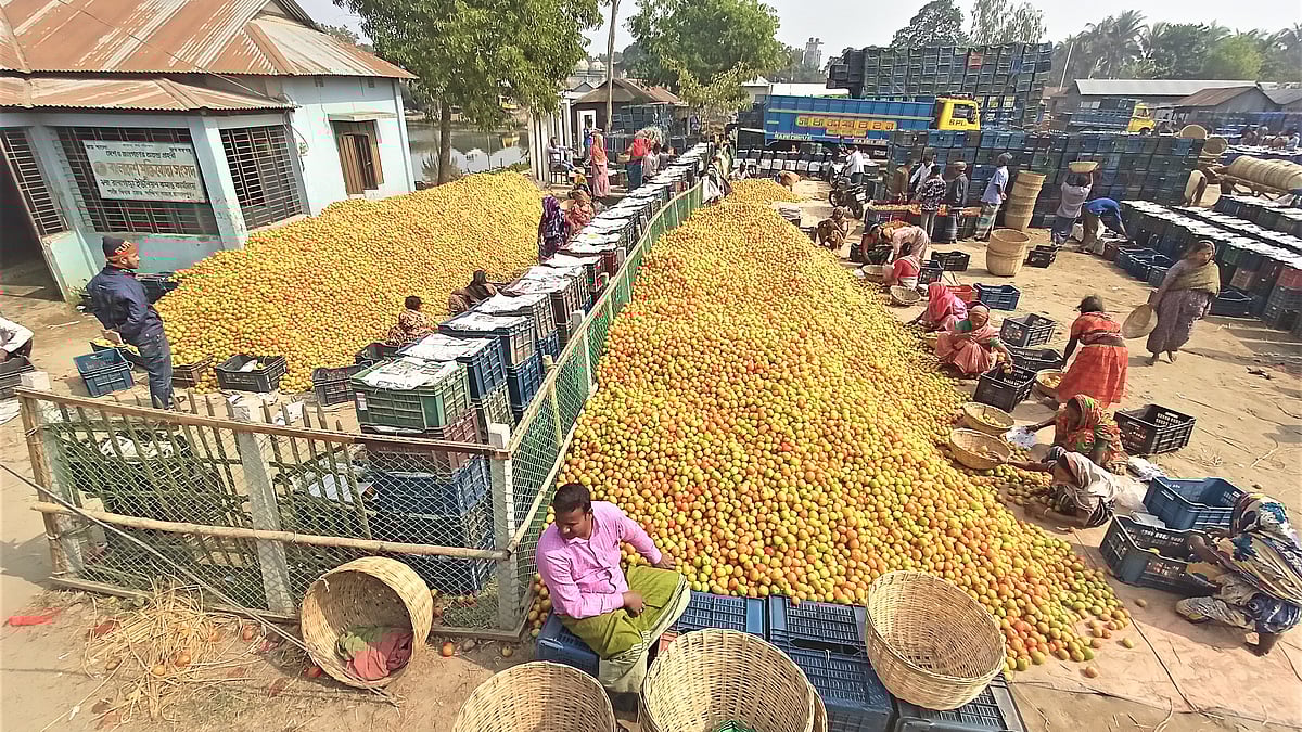 ছবি: প্রথম আলো