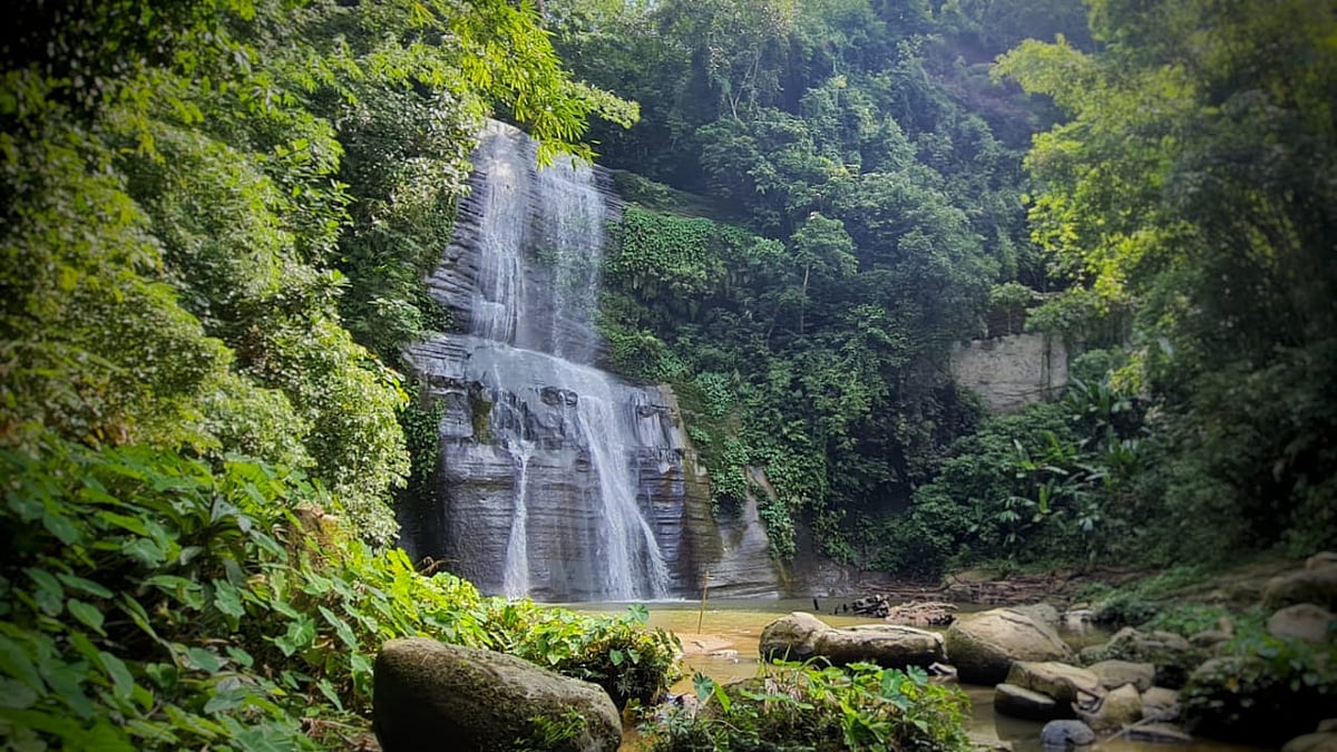 ছবি: লেখকের সৌজন্যে