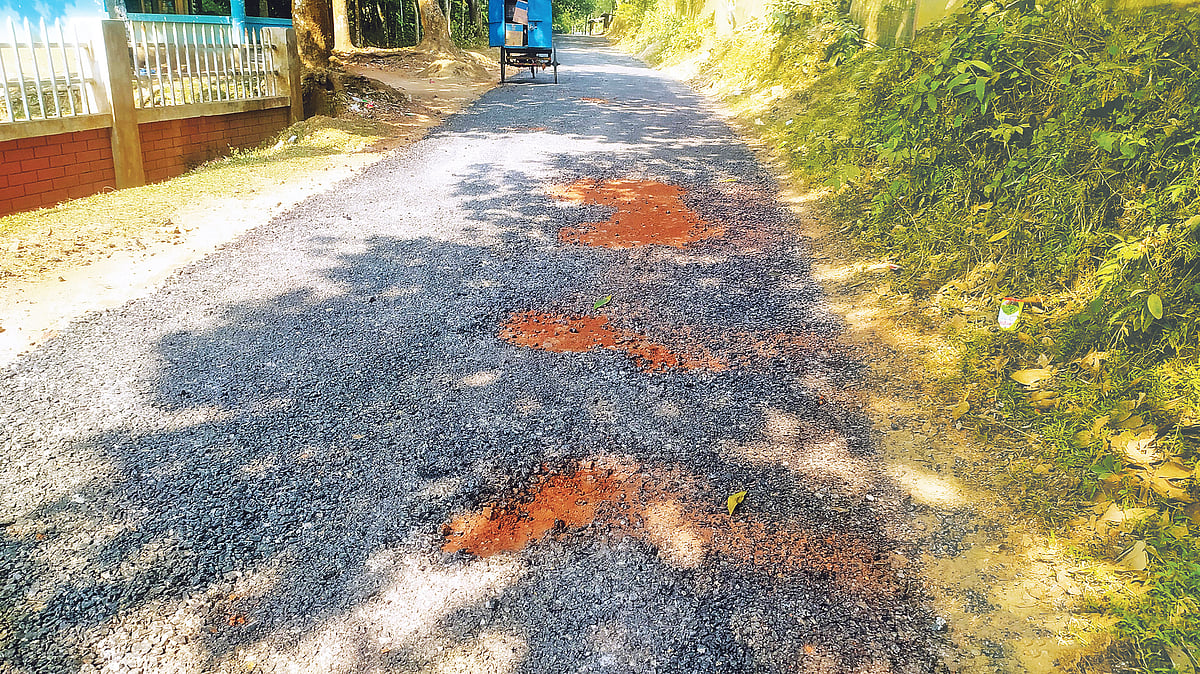   ছবি: প্রথম আলো