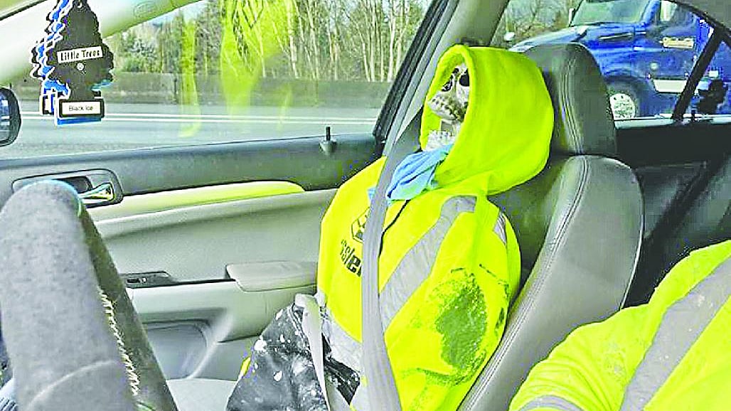 সংগৃহীত