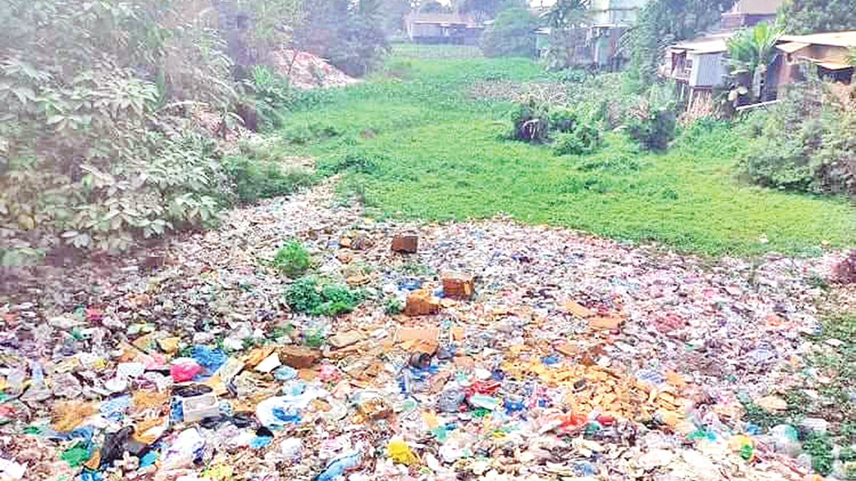   ছবি: প্রথম আলো
