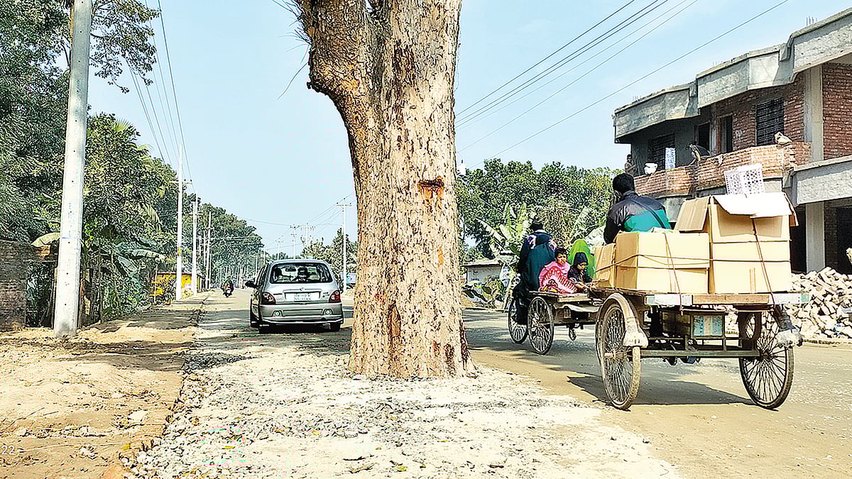 ছবি: প্রথম আলো