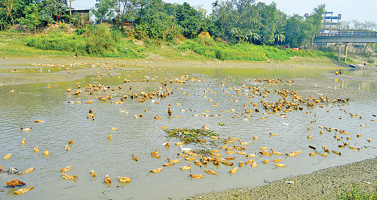 ছবি: প্রথম আলো