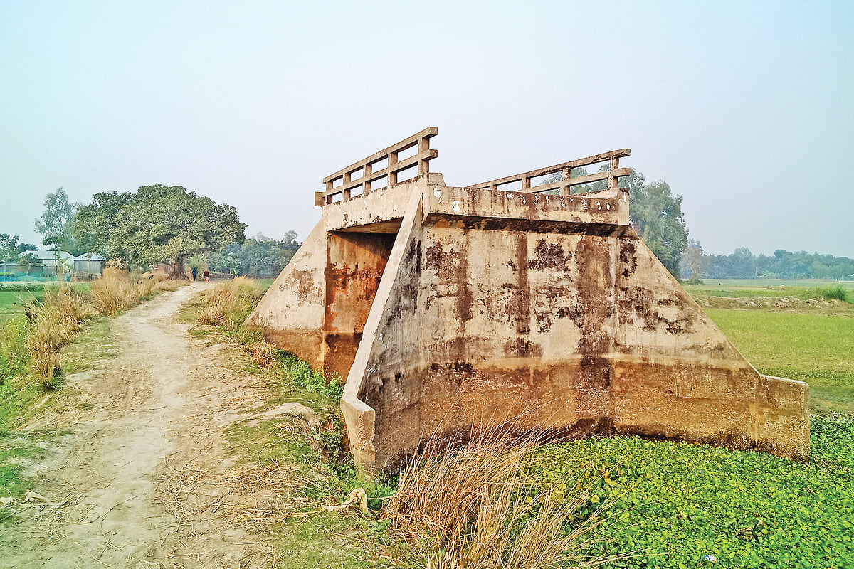 ছবি: প্রথম আলো