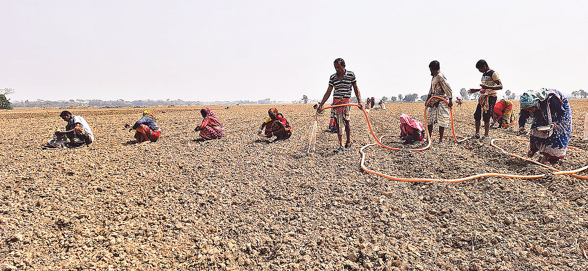ছবি: প্রথম আলো  