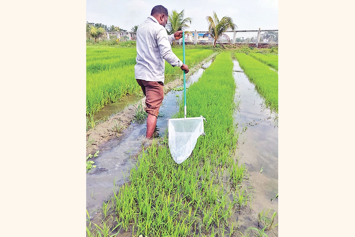 সংগৃহীত