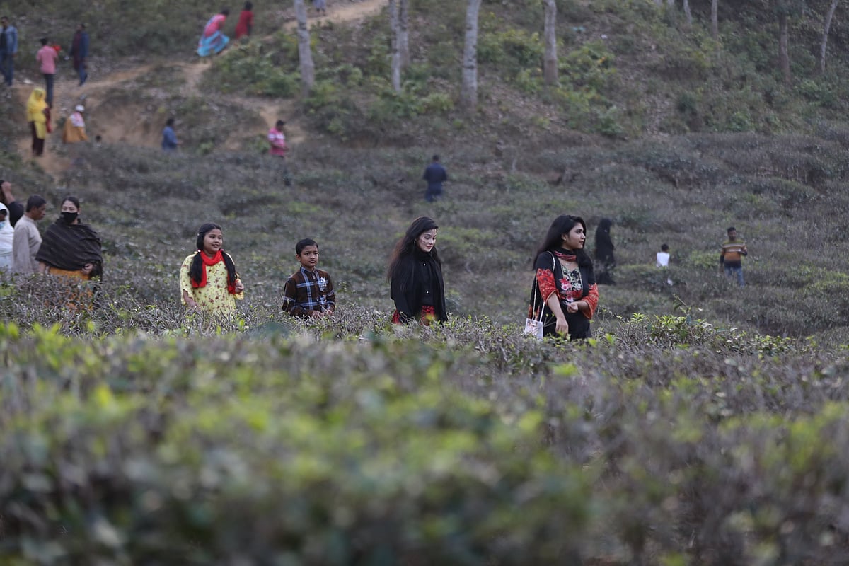 ছবি: আনিস মাহমুদ