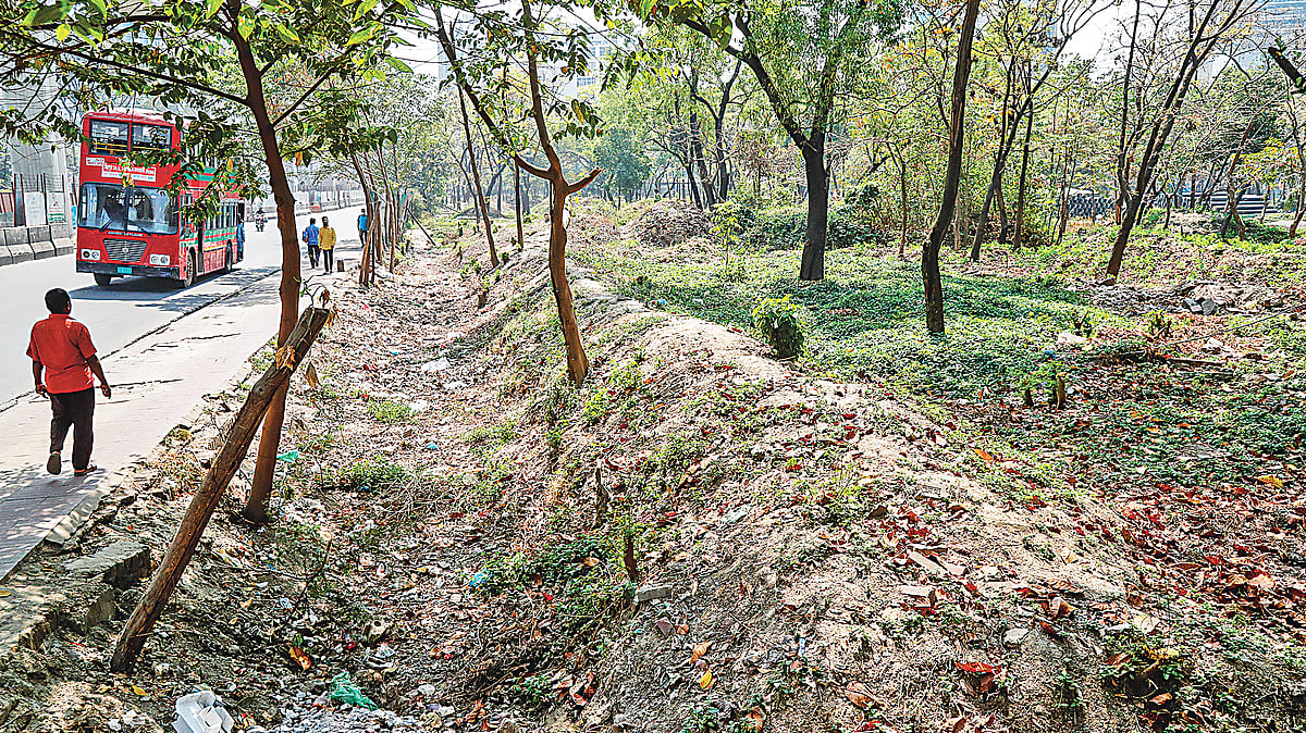 ছবি: প্রথম আলো
