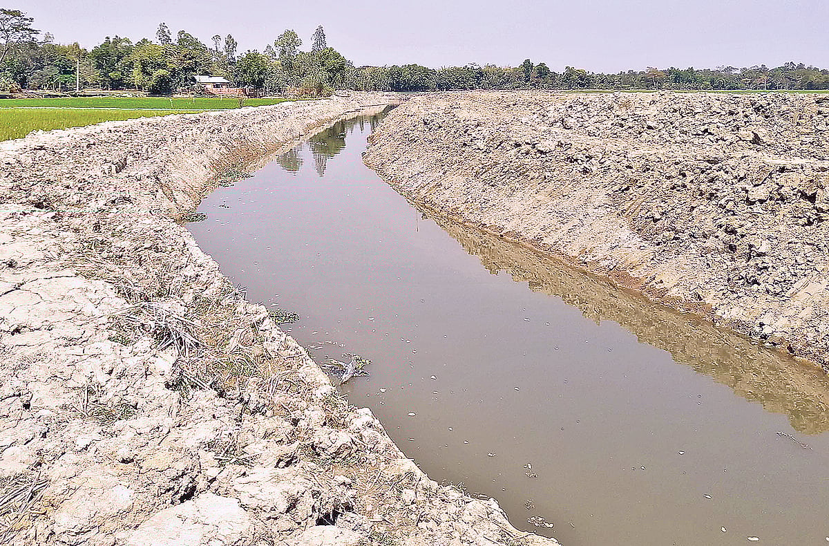 ছবি: প্রথম আলো