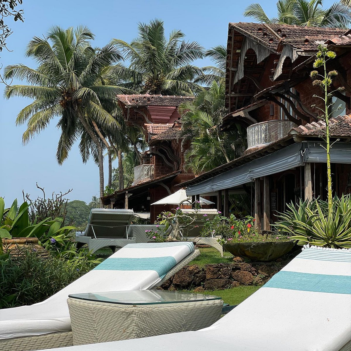 ছবি: ইনস্টাগ্রাম থেকে