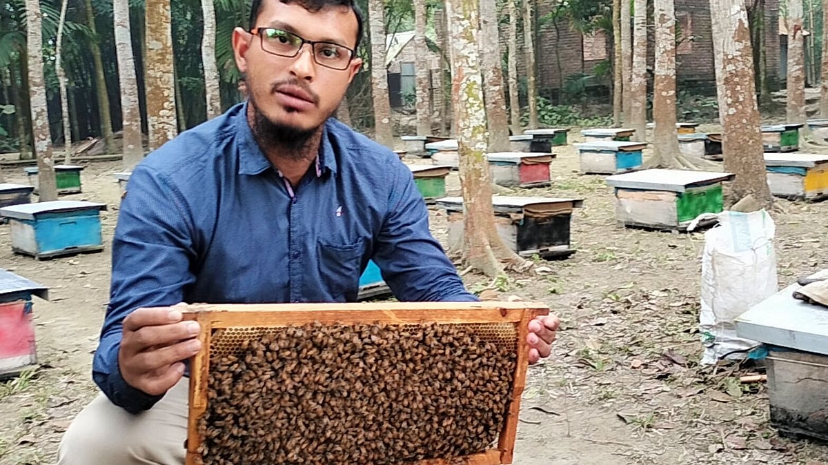 ছবি: প্রথম আলো