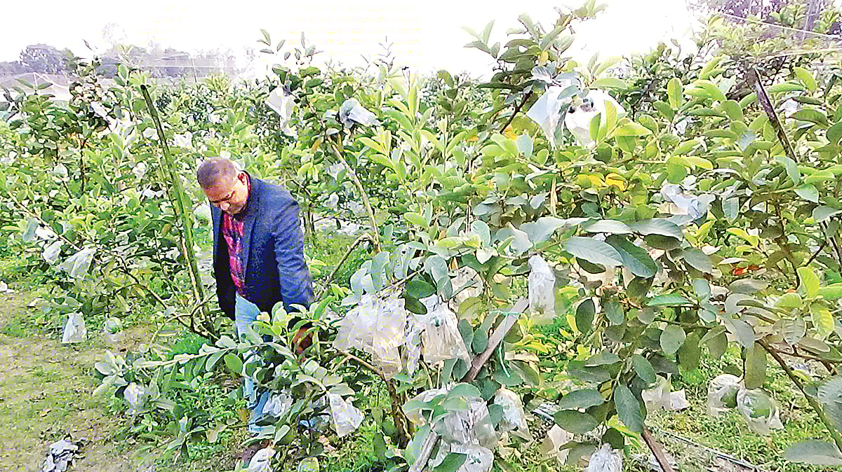  ছবি: প্রথম আলো