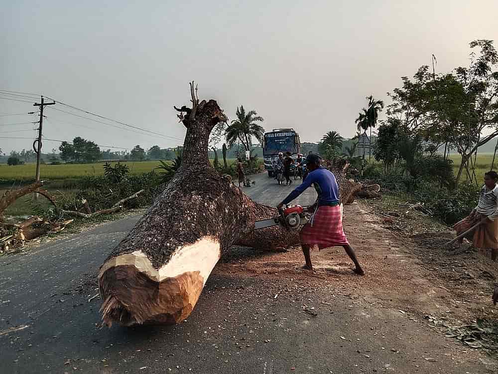 ছবি: প্রথম আলো