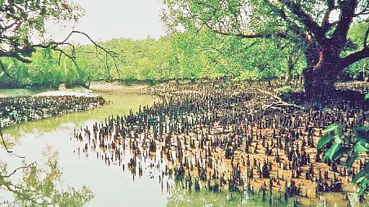   ফাইল ছবি