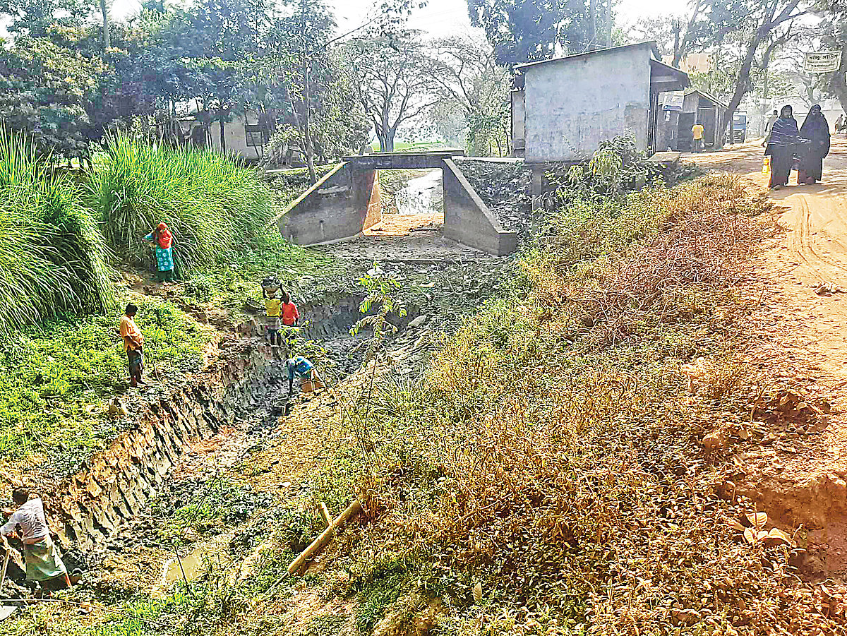 ছবি: প্রথম আলো