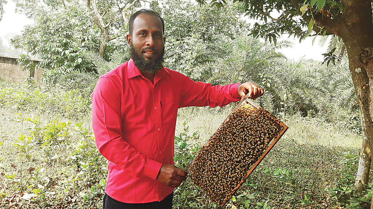 ছবি: প্রথম আলো