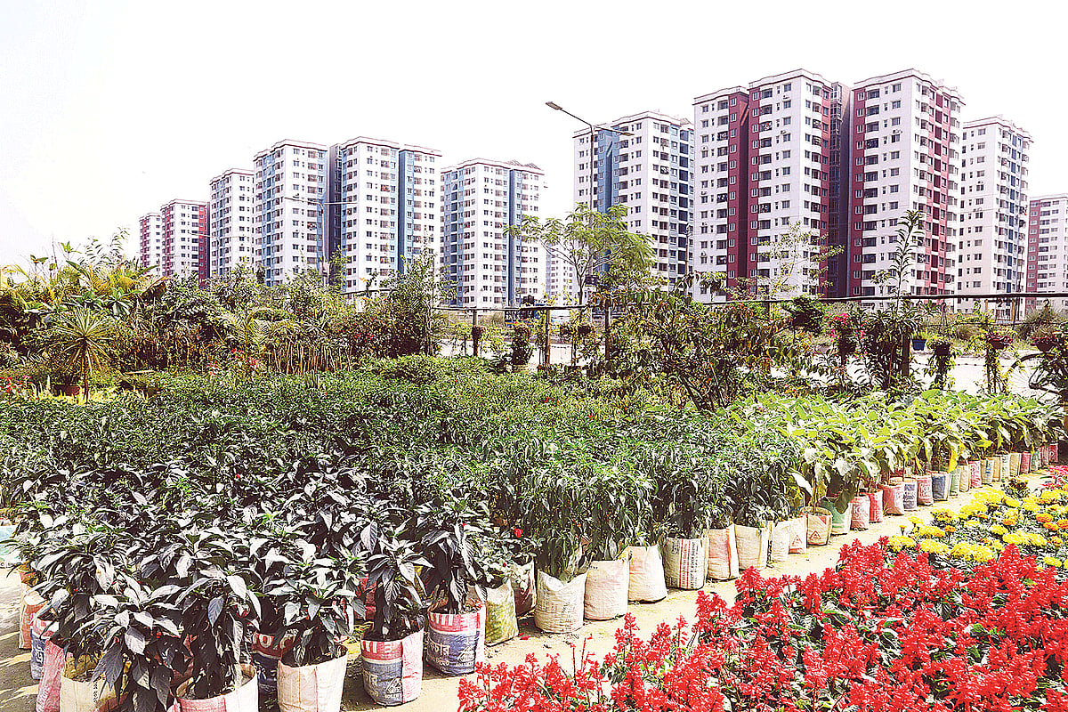 ছবি: খালেদ সরকার