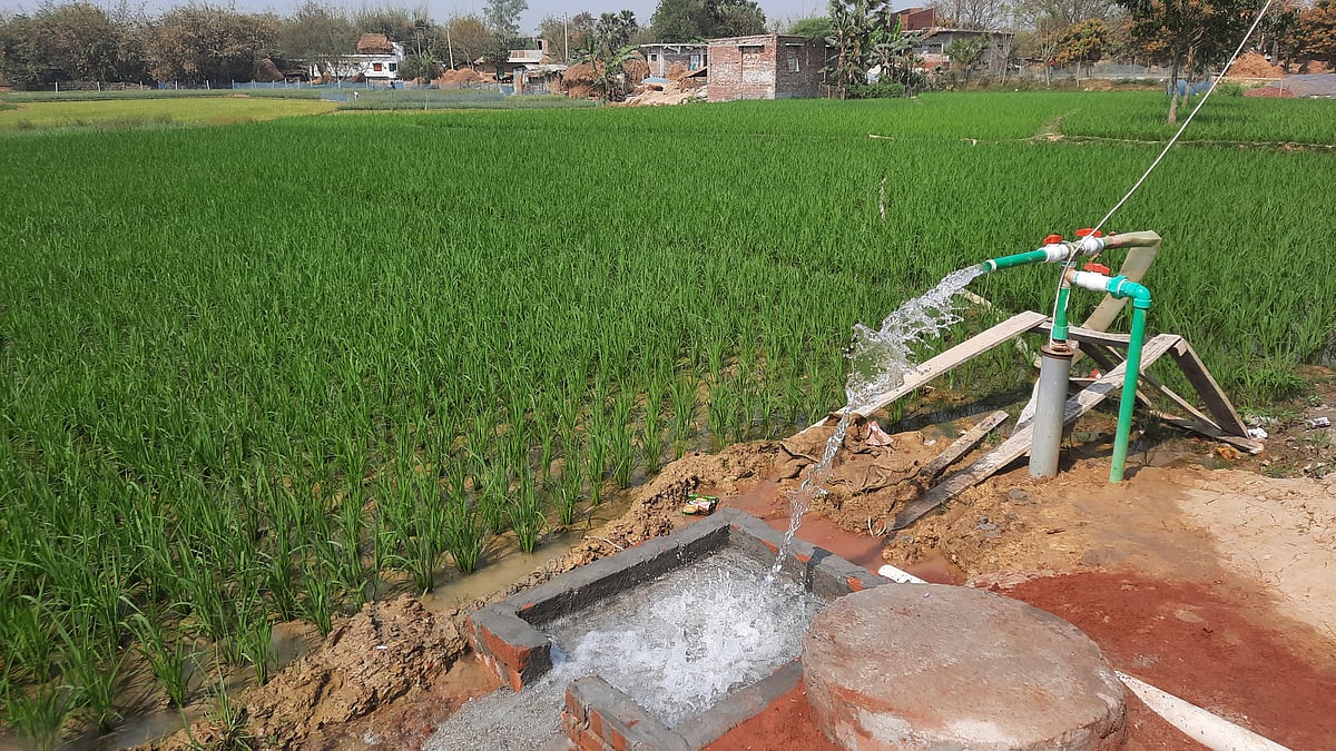 ছবি: প্রথম আলো