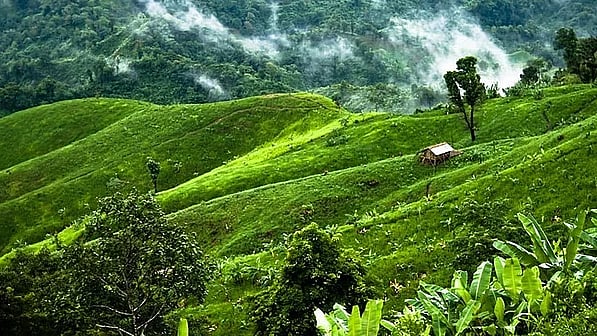 ফাইল ছবি